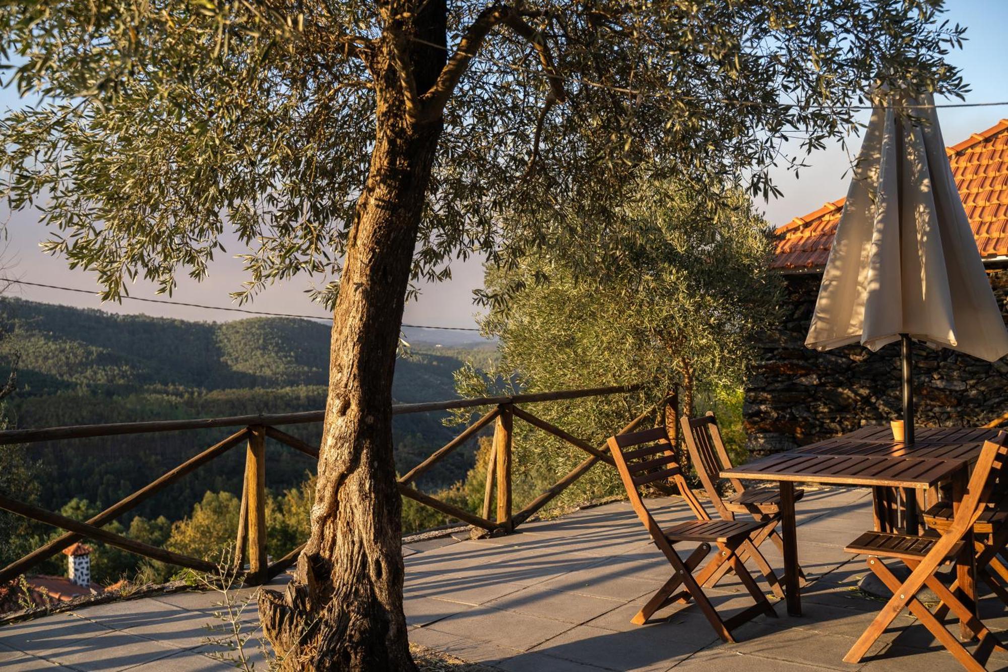 Casa Da Colina Holiday home Amarante